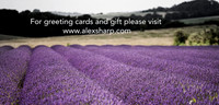 Large prints Alex sharp 4