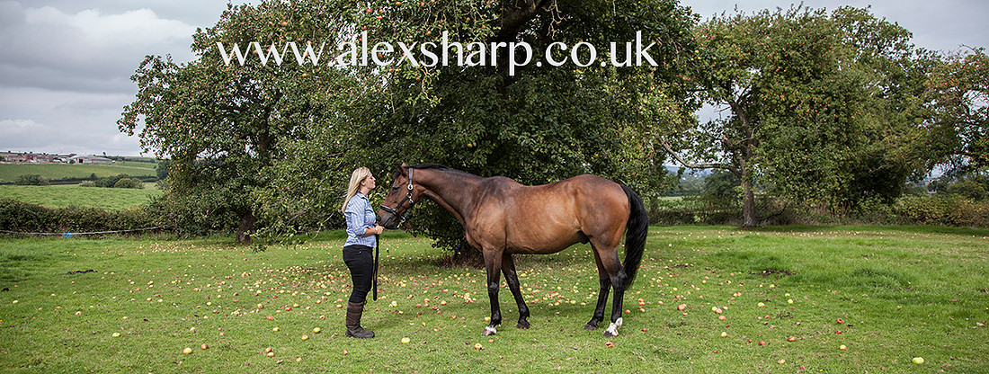 equestrian fine art photographer