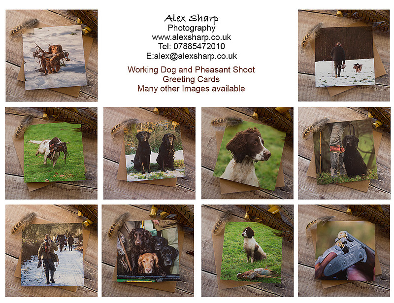 working dog greeting cards