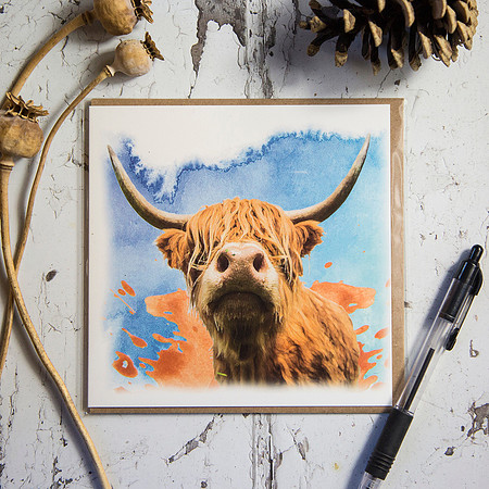 FYA002 - Highland cow on watercolour background
