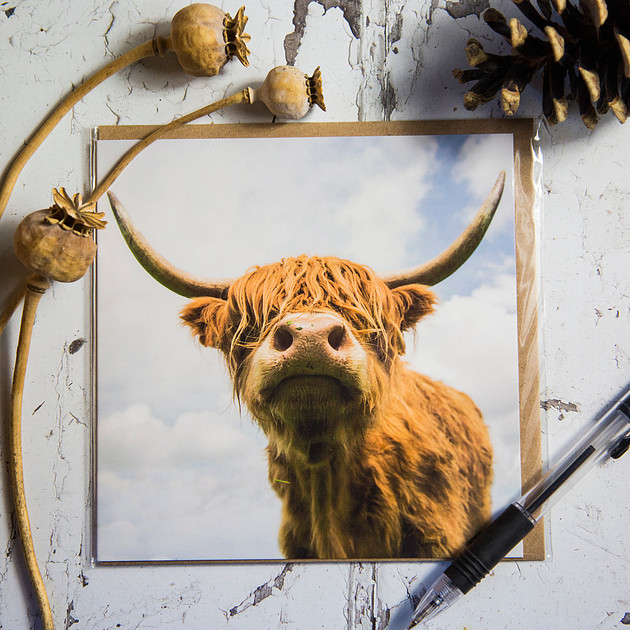 Alex Sharp Photography | Greeting Cards