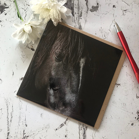EGC011 - Calm, Equestrian Greeting card