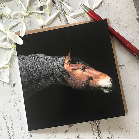 EGC013 And Stretch, Equestrian Greeting Card