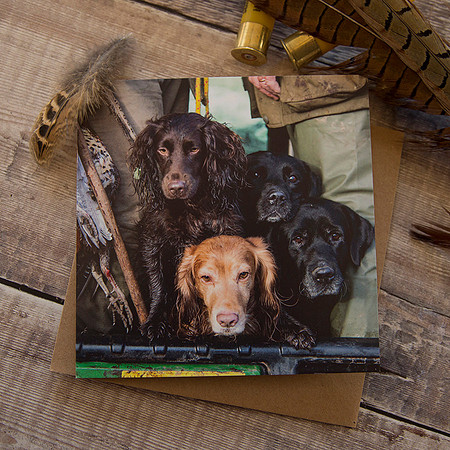 PSBC009 - Squashed Dogs, pheasant shoot greeting card