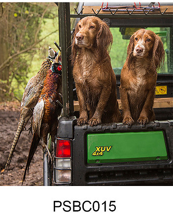 PSBC015 - Can we help, pheasant shoot greeting card