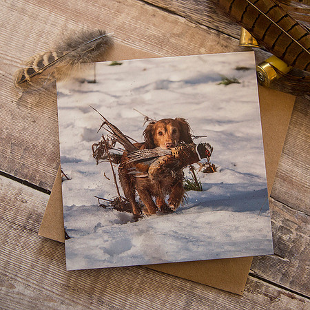 PSBC007 - Look what I found, working dog greeting card.