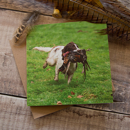 PSBC002 - Busy, pheasant shoot greeting card