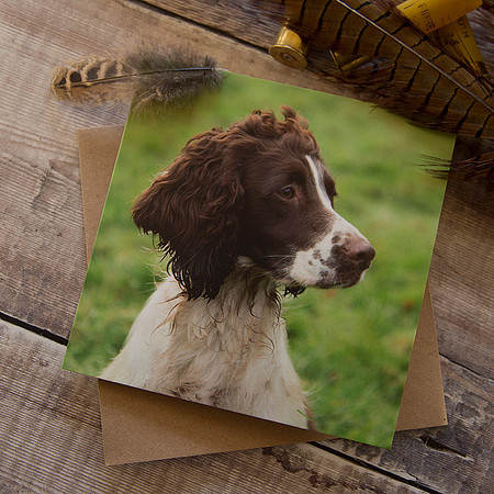 PSBC004 Did you call - Spaniel greeting card