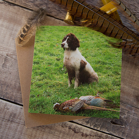 PSBC008 - Mine, working dog with pheasant, greeting card
