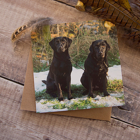 PSBC003 - Can we go now - black labrador greeting card