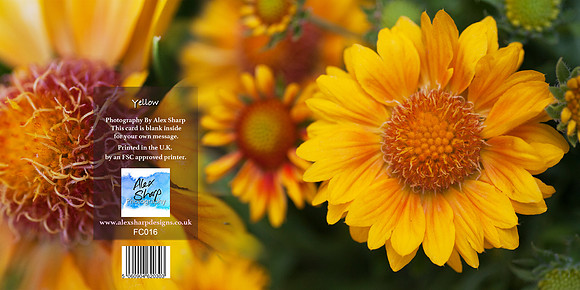 FC016 Yellow