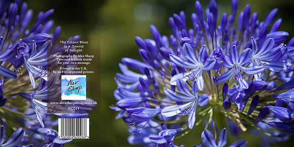 FC011 Blue
