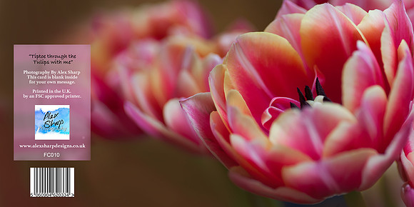 FC010 Tiptoe through the Tulips