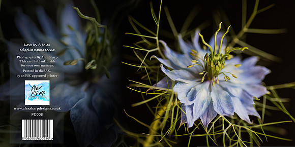 FC008 Love in a Mist