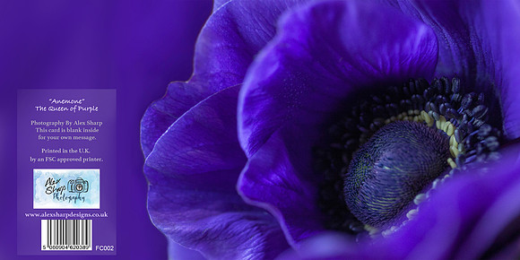 FC002 Anemone
