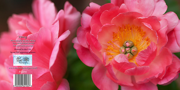 FC014 Peony