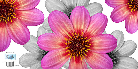FF001